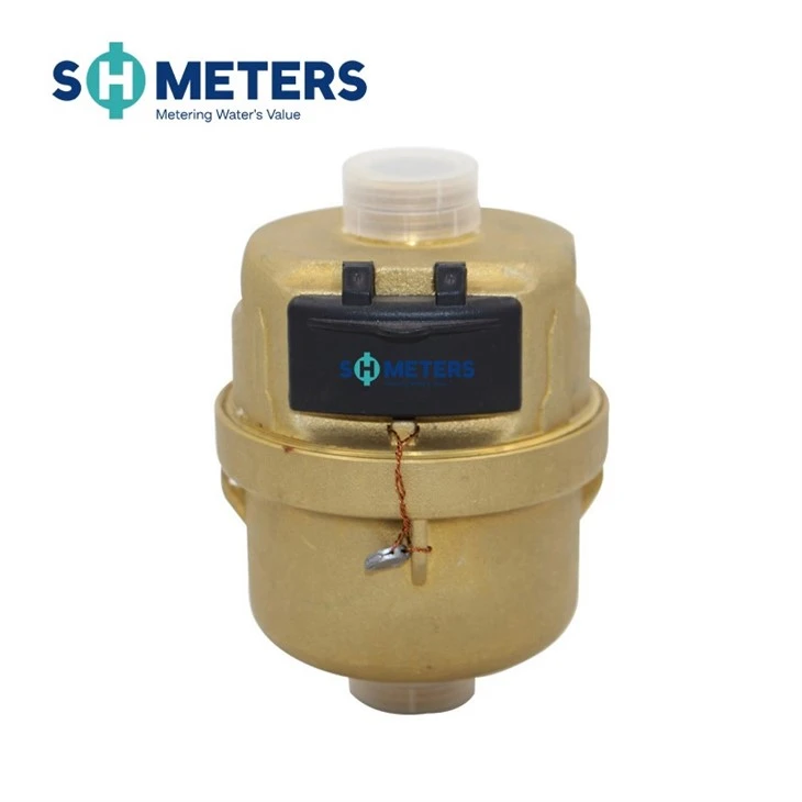 Class C R160 Volumetric Piston Rotary Water Meter